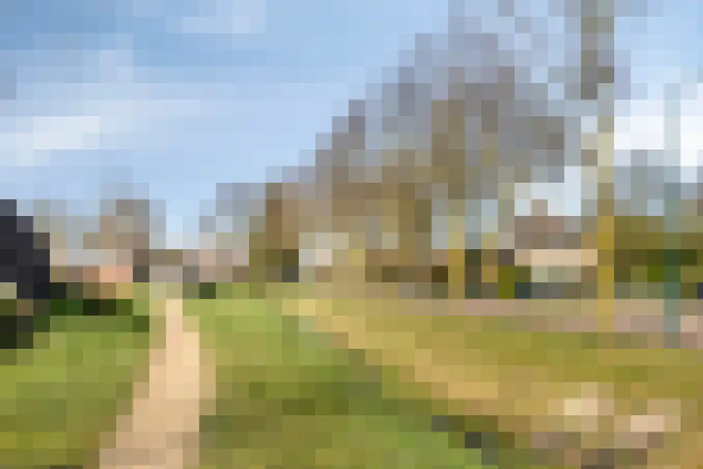 Havikskruid 87 Berghem thumbnail 34