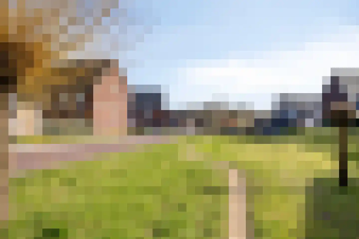 Havikskruid 87 Berghem thumbnail 35
