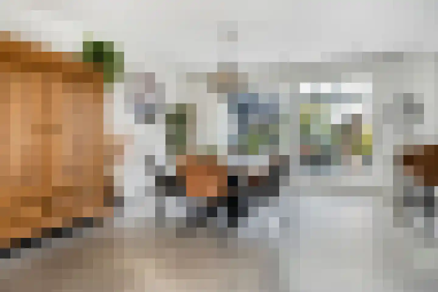 Havikskruid 87 Berghem thumbnail 8