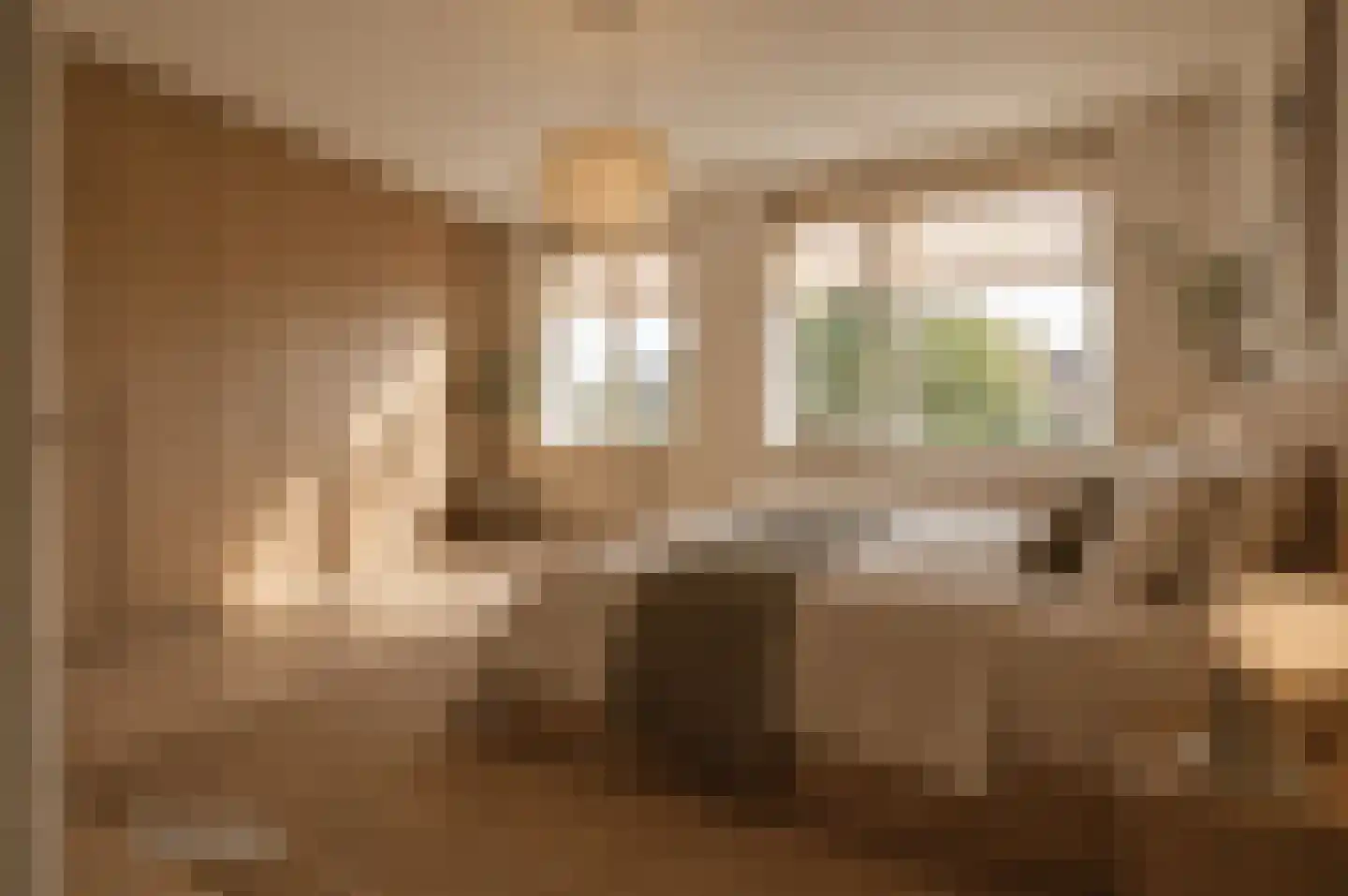 Havikskruid 87 Zeewolde thumbnail 12