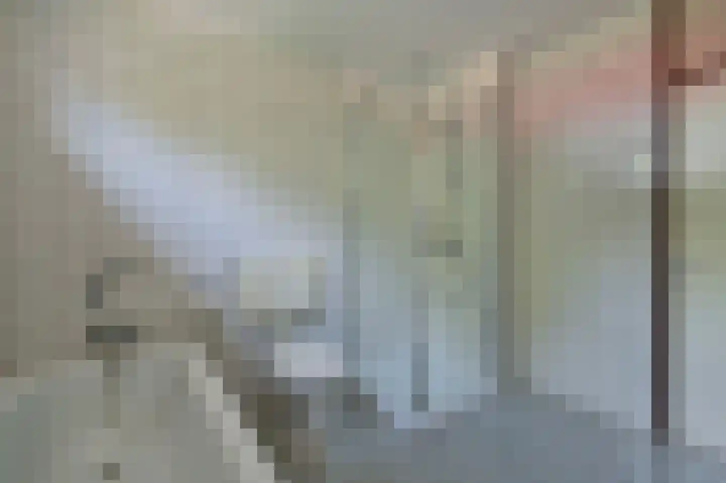 Havikskruid 87 Zeewolde thumbnail 20