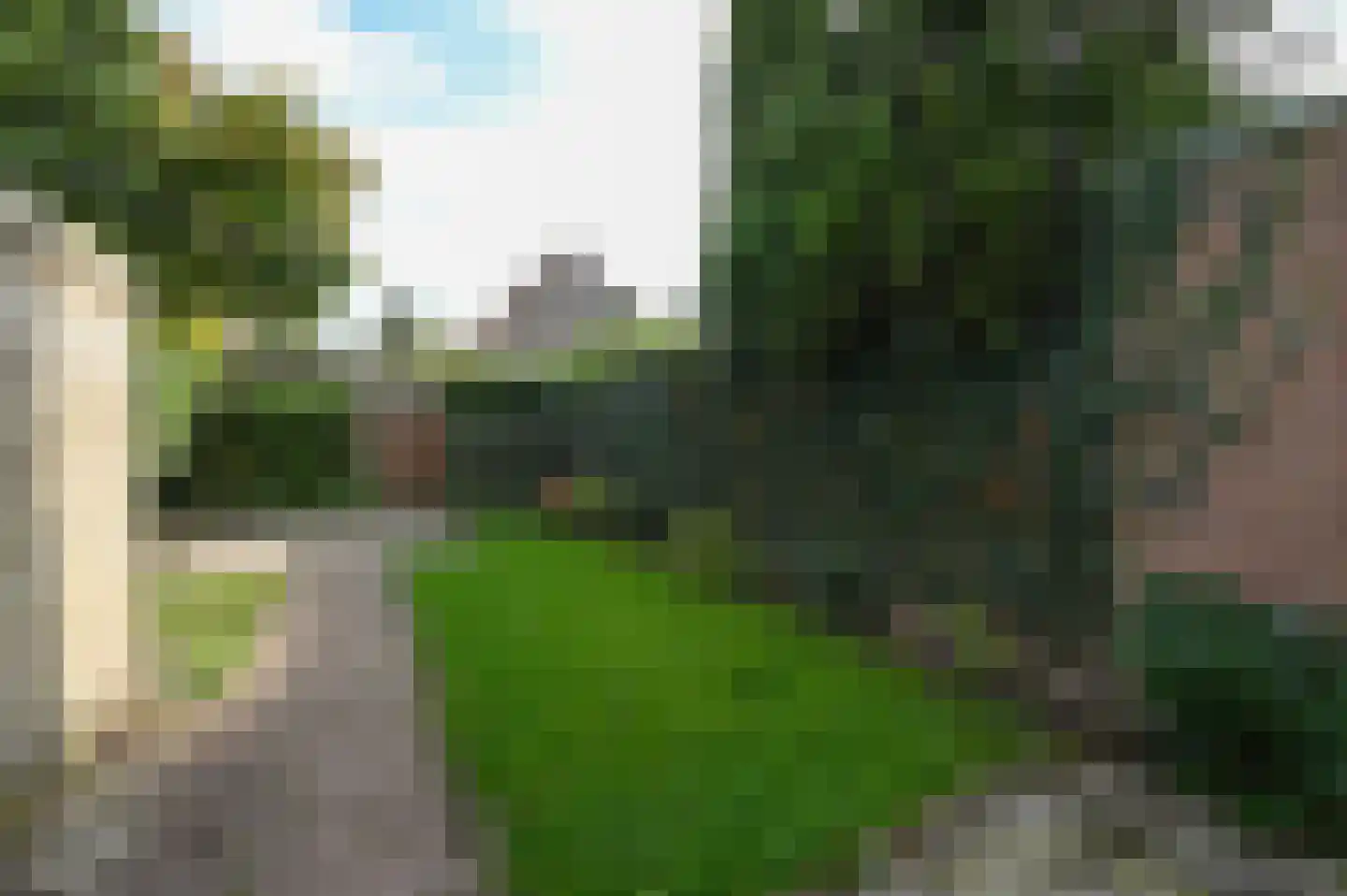 Havikskruid 87 Zeewolde thumbnail 27