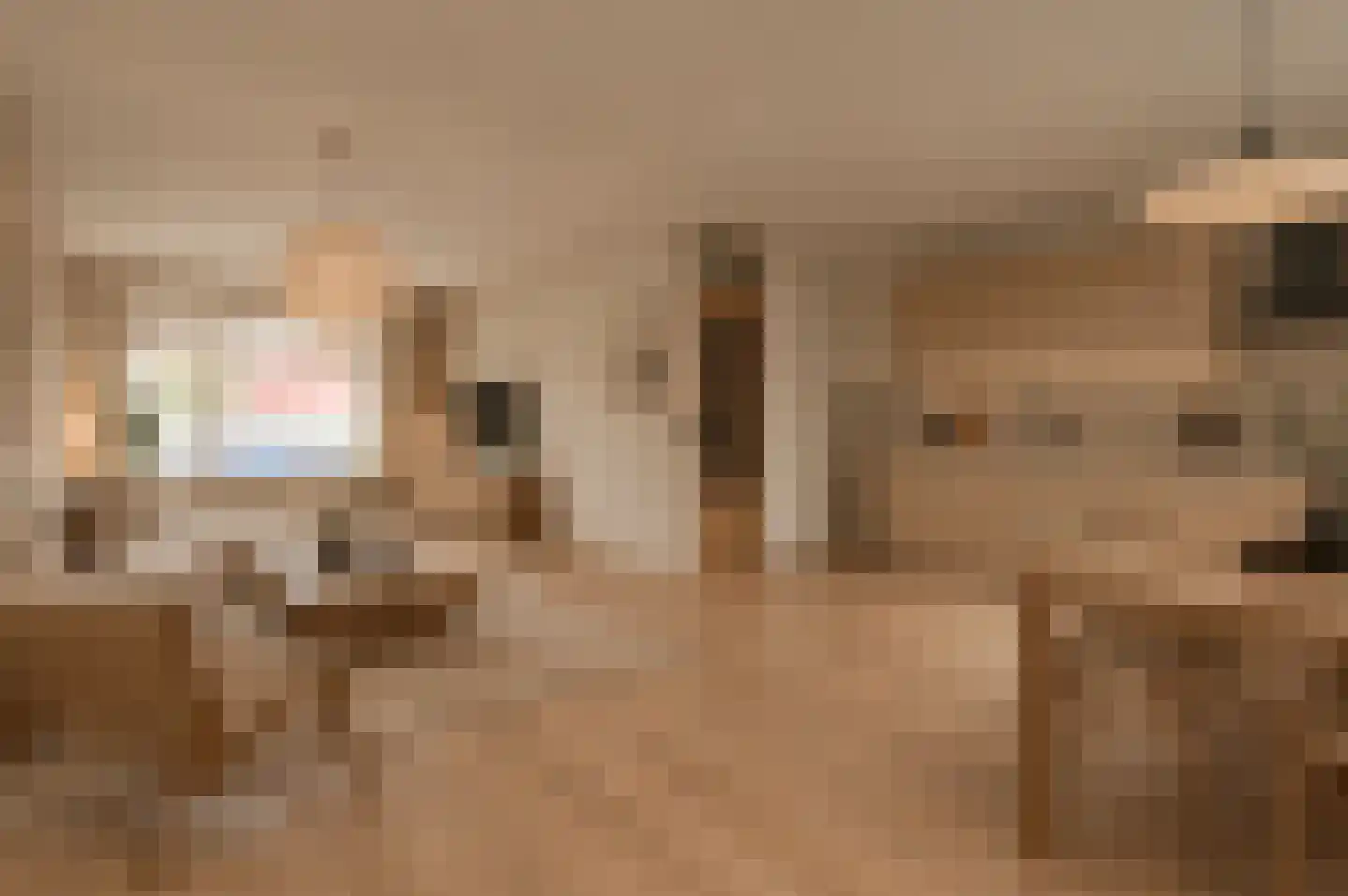 Havikskruid 87 Zeewolde thumbnail 4