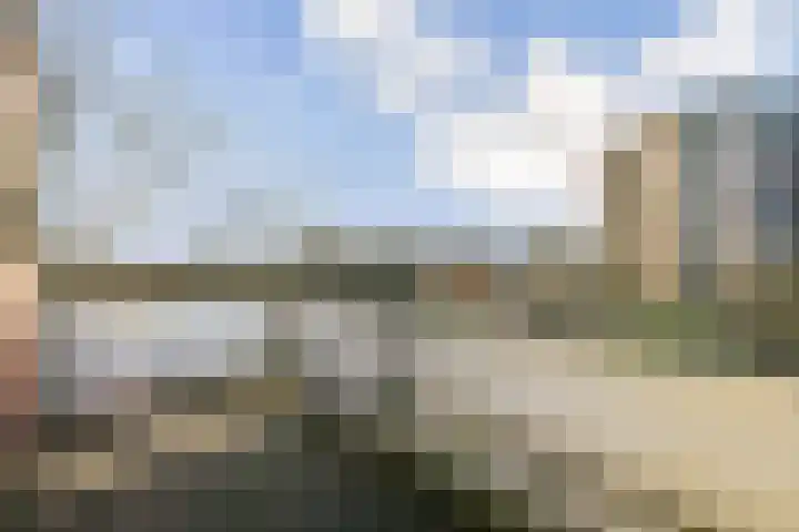 Havikskruid 97 Diemen thumbnail 15