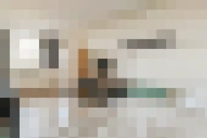 Havikskruid 97 Diemen thumbnail 17