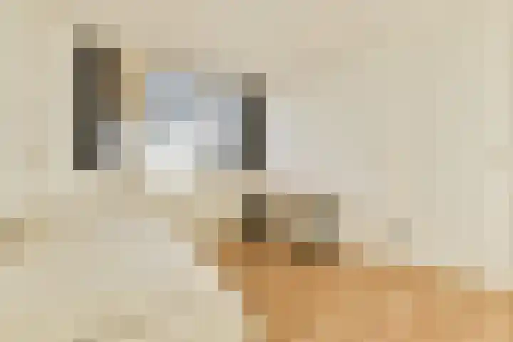 Havikskruid 97 Diemen thumbnail 27