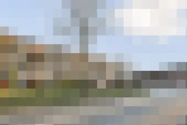 Havikskruid 97 Diemen thumbnail 29