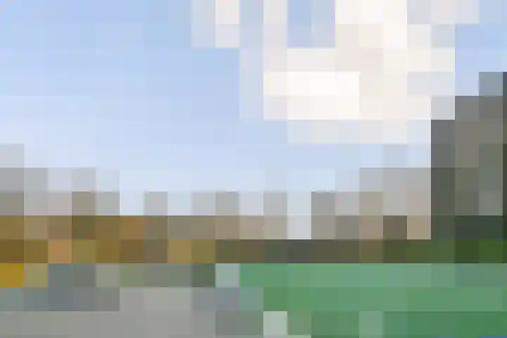 Havikskruid 97 Diemen thumbnail 30