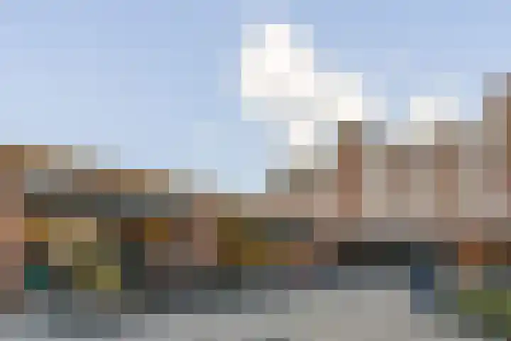 Havikskruid 97 Diemen thumbnail 31