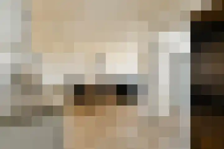 Havikskruid 97 Diemen thumbnail 6