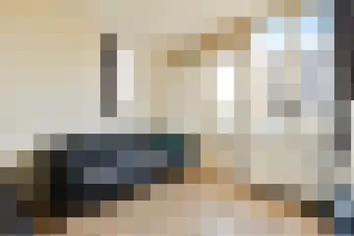 Havikskruid 97 Diemen thumbnail 8