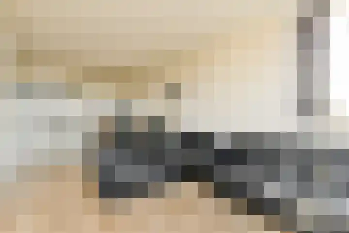 Havikskruid 97 Diemen thumbnail 9