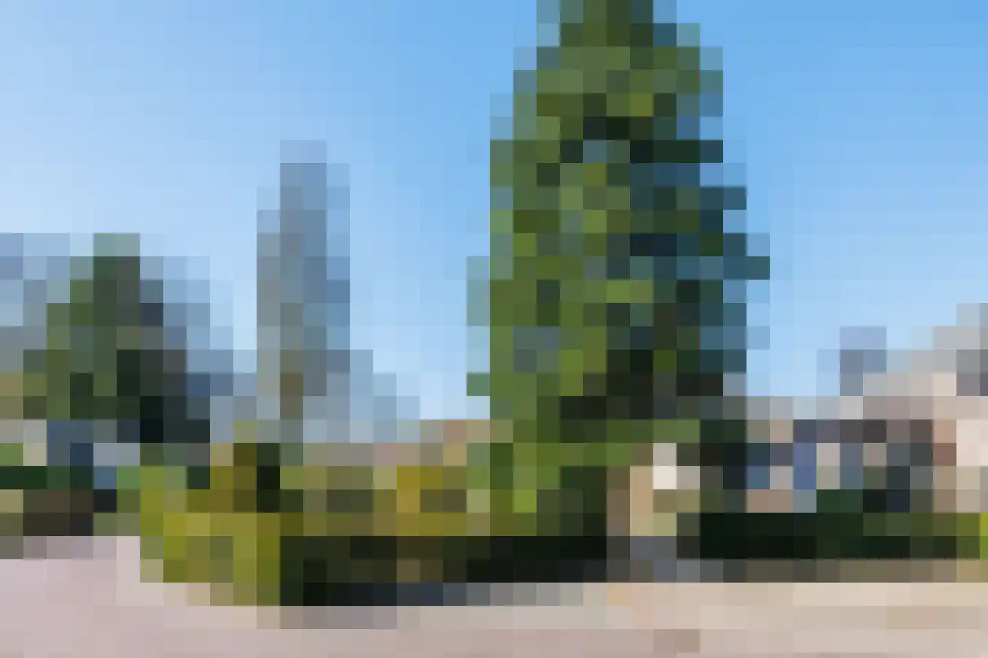 Havikstraat 1 Gennep thumbnail 37