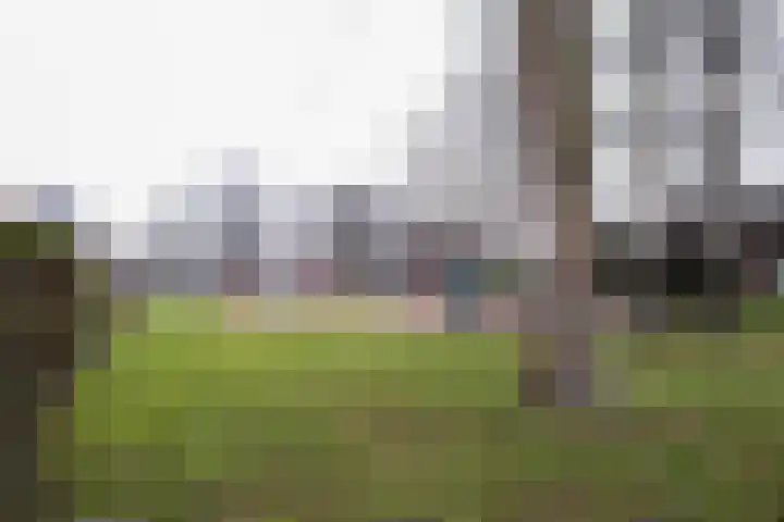 Havikstraat 16 Losser thumbnail 27