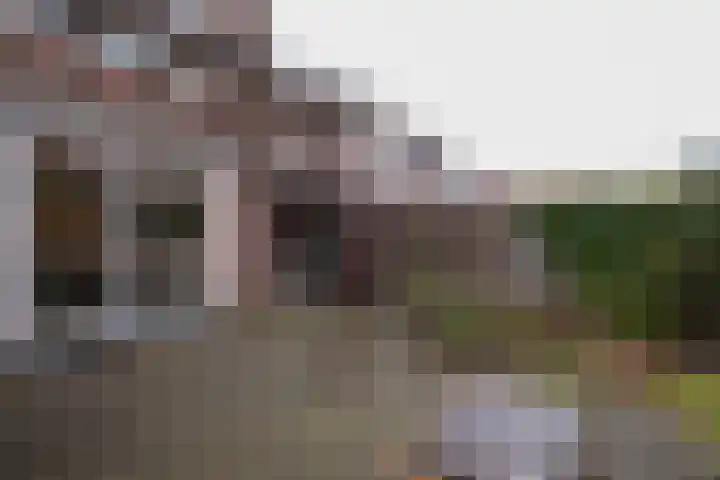 Havikstraat 16 Losser thumbnail 29