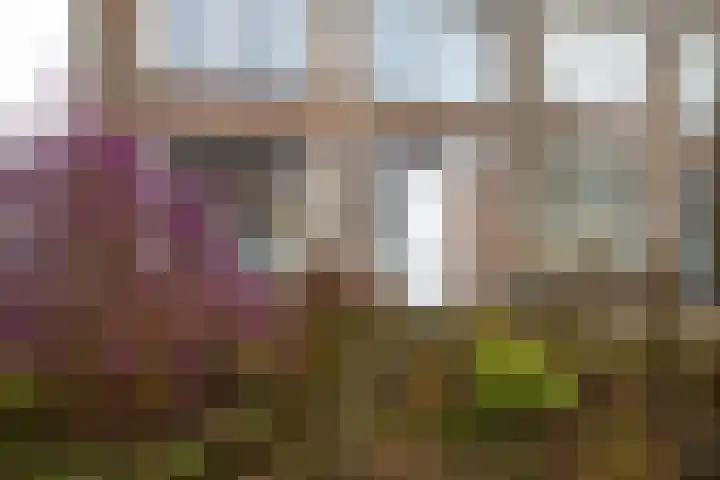 Havikstraat 16 Losser thumbnail 5