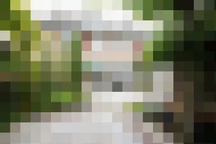 Havikstraat 16 Putten thumbnail 25