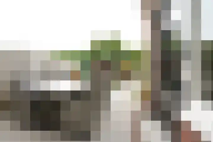 Havikstraat 16 Putten thumbnail 36