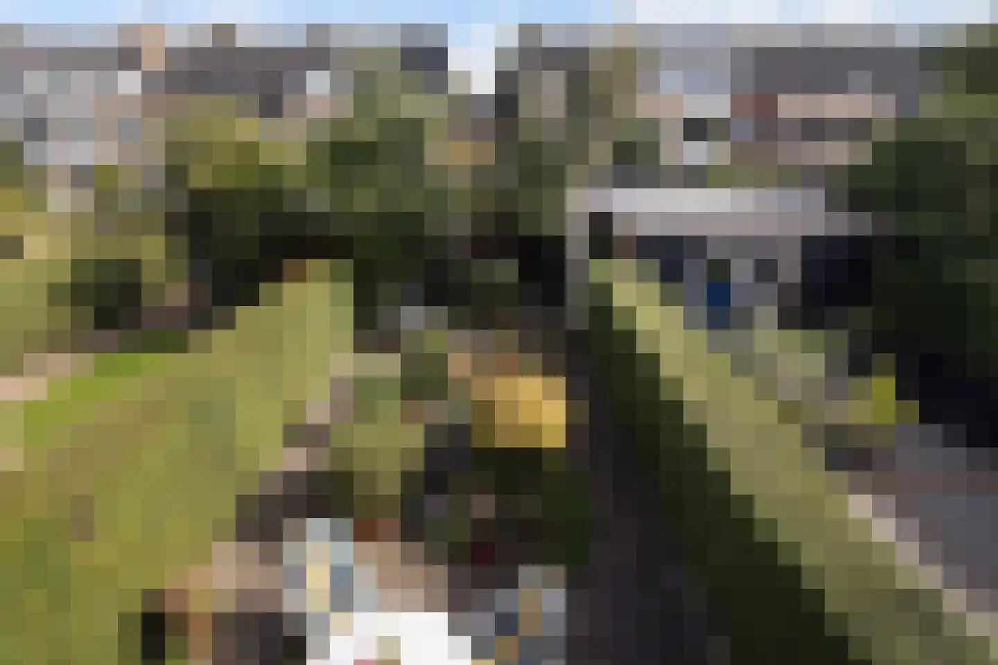 Havikstraat 19 Maassluis thumbnail 32