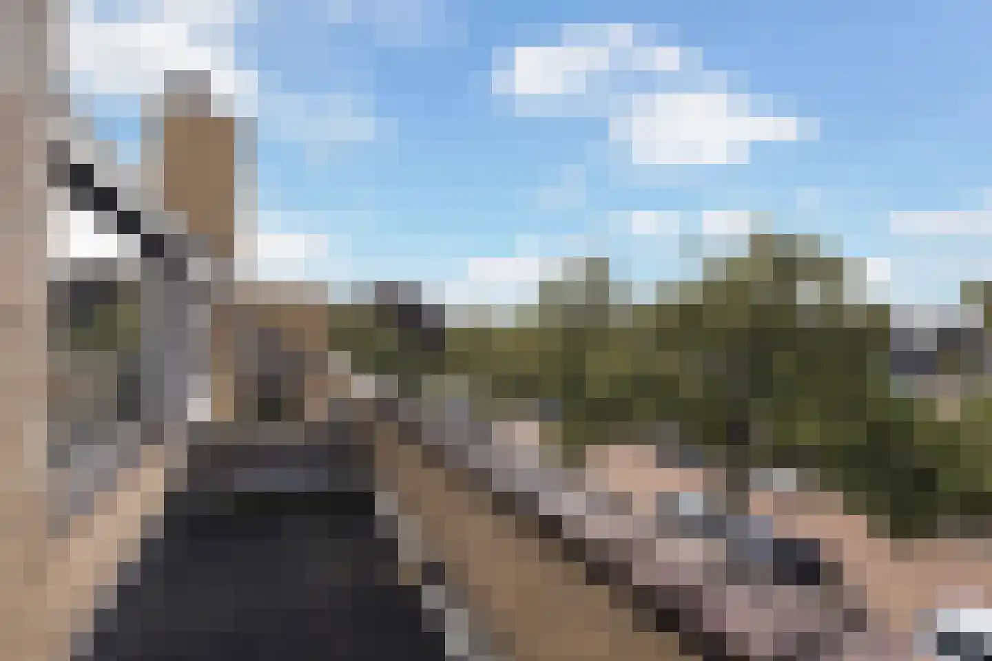 Havikstraat 19 Maassluis thumbnail 43