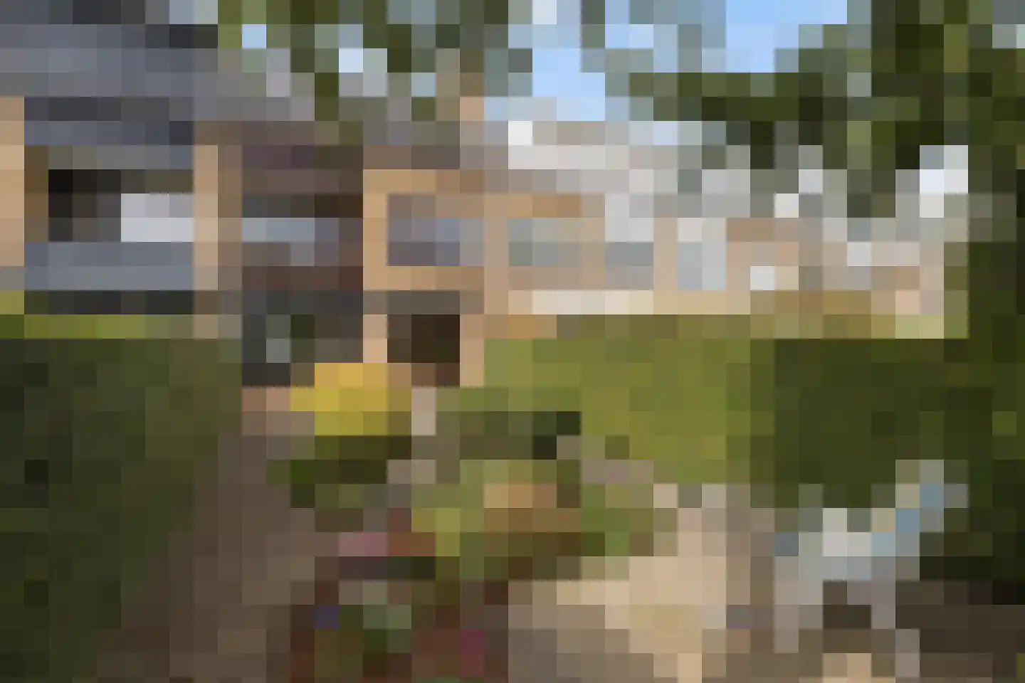 Havikstraat 19 Maassluis thumbnail 5