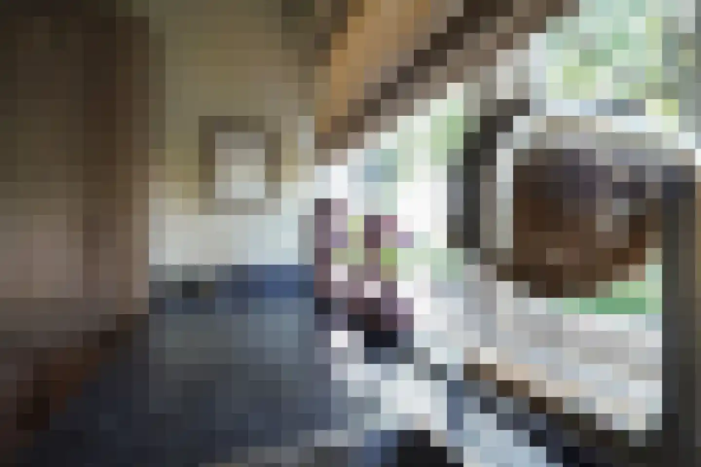 Havikstraat 19 Putten thumbnail 21