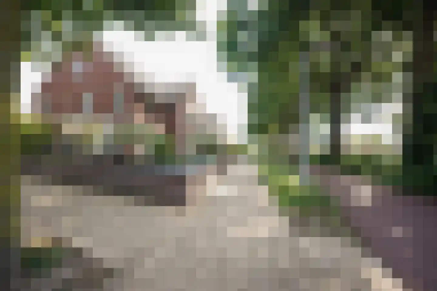 Havikstraat 19 Putten thumbnail 59