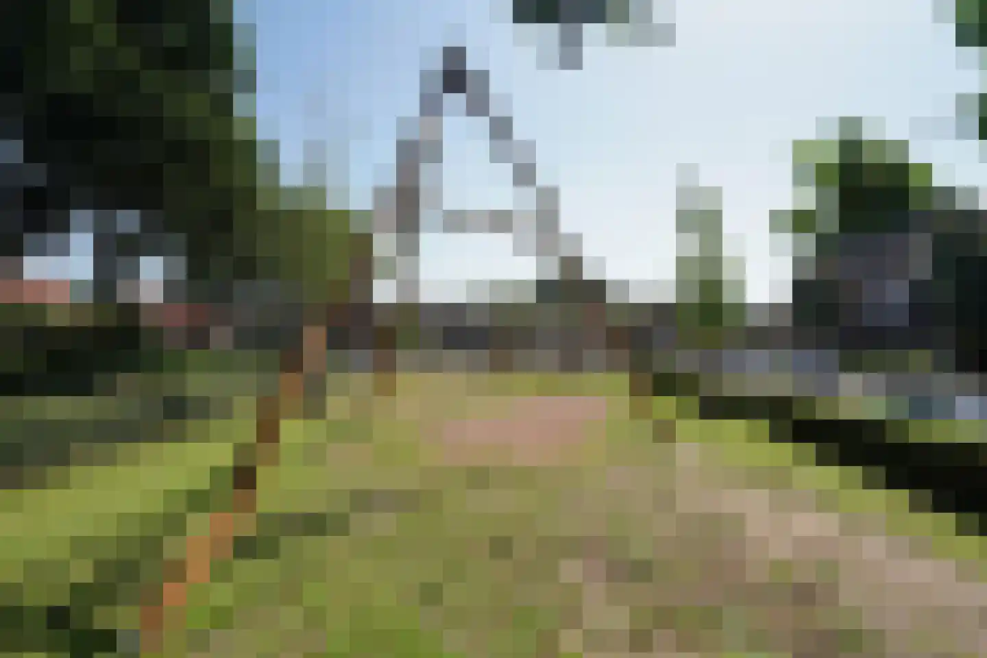 Havikstraat 19 Putten thumbnail 60