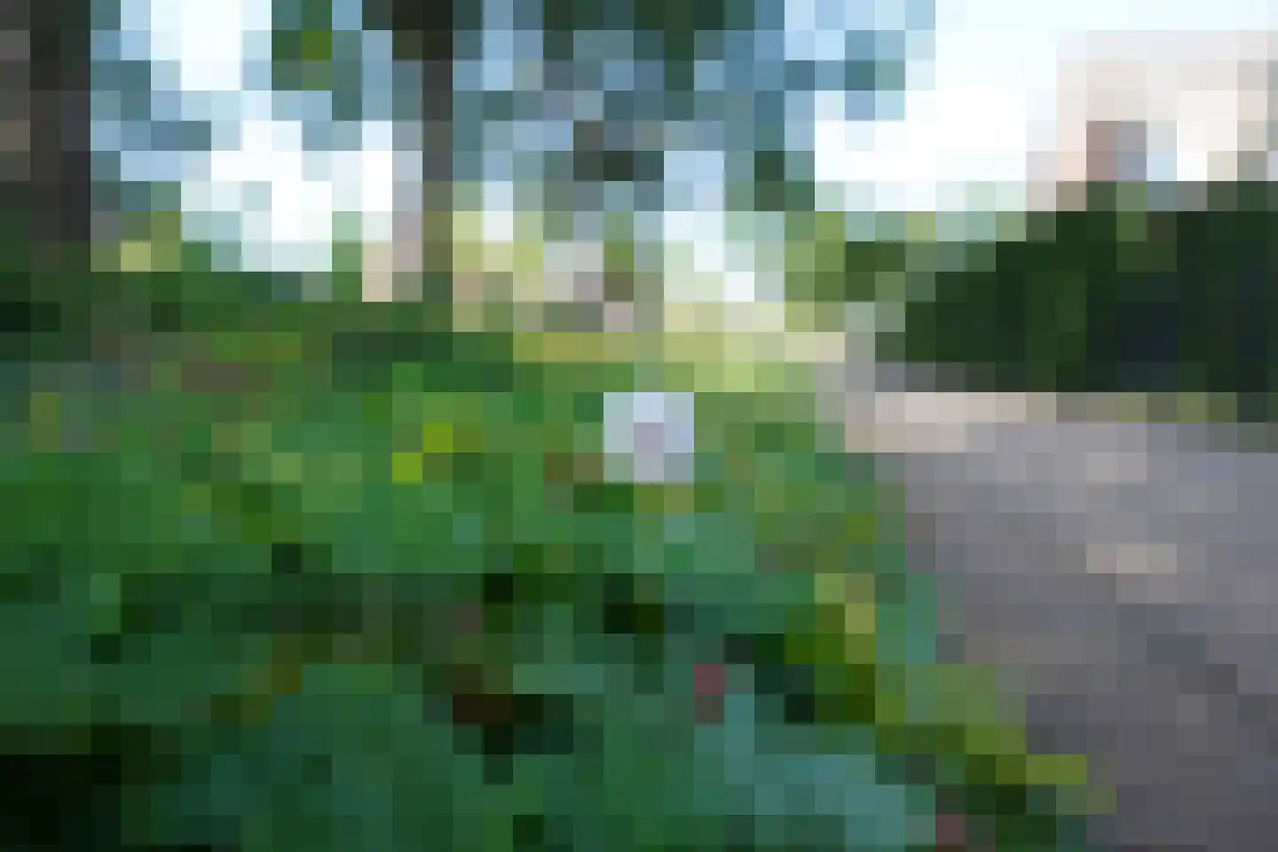 Havikstraat 19 Putten thumbnail 61