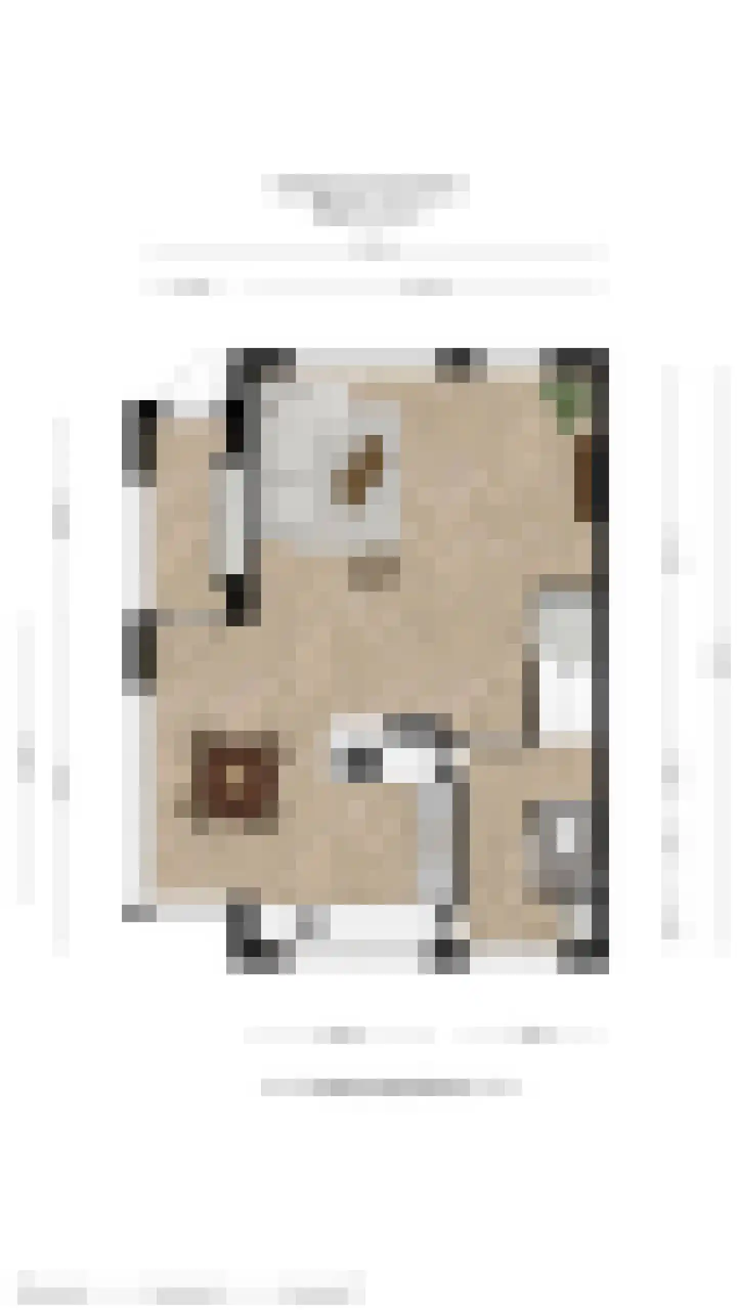 Havikstraat 19 Putten thumbnail 63