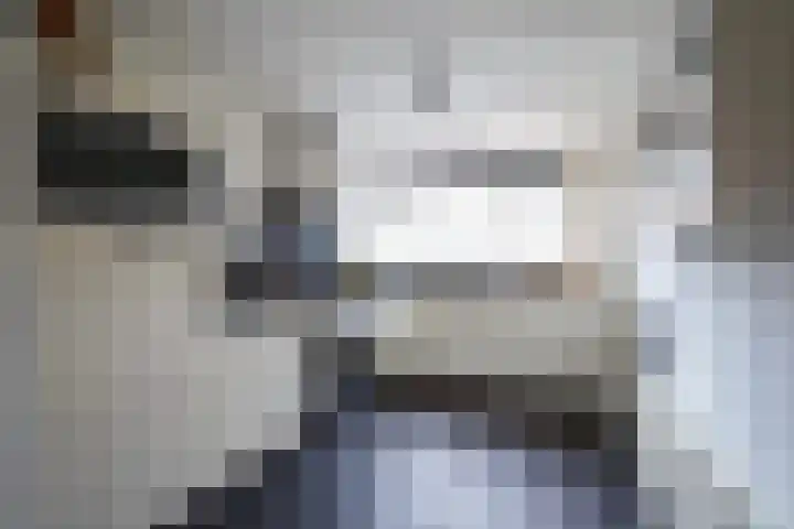 Havikstraat 20 Putten thumbnail 13