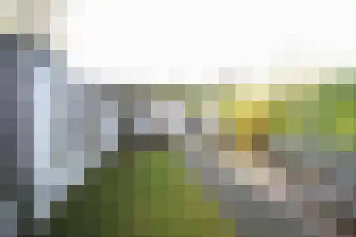 Havikstraat 20 Putten thumbnail 21