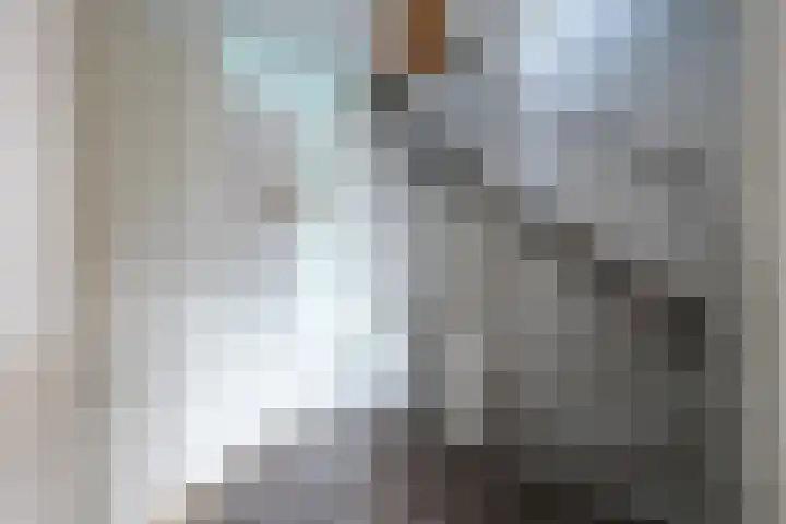 Havikstraat 20 Putten thumbnail 32