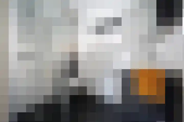 Havikstraat 20 Putten thumbnail 41