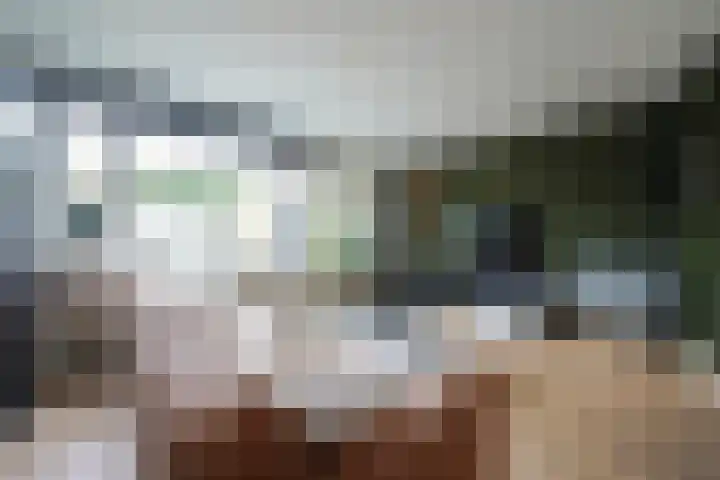 Havikstraat 20 Putten thumbnail 7
