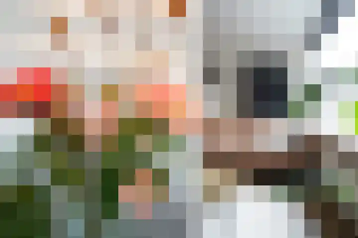 Havikstraat 20 Putten thumbnail 8