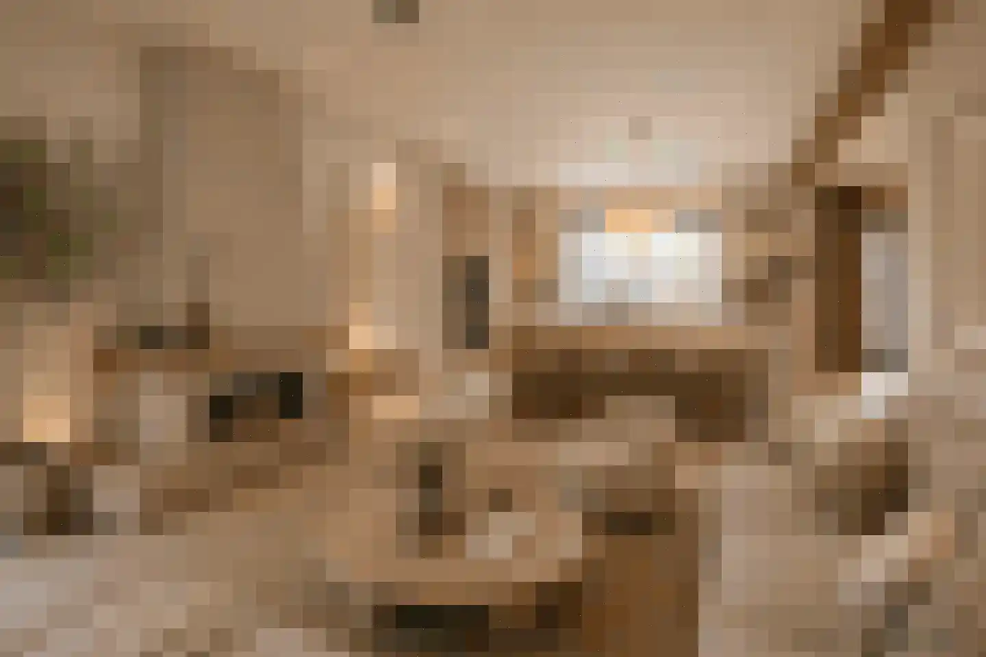 Havikstraat 23 Oss thumbnail 12