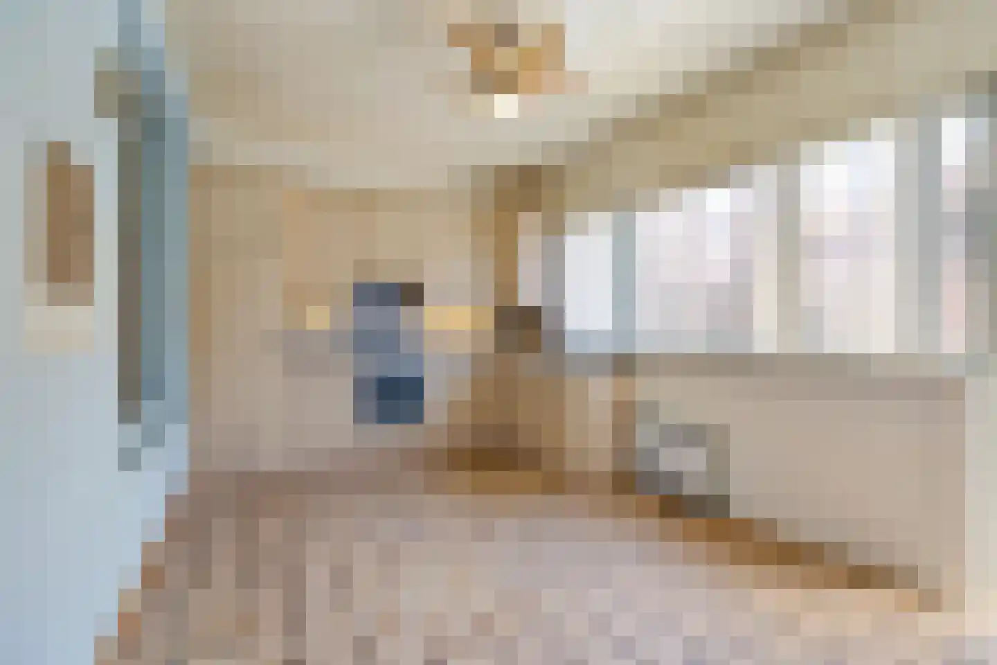 Havikstraat 23 Oss thumbnail 19
