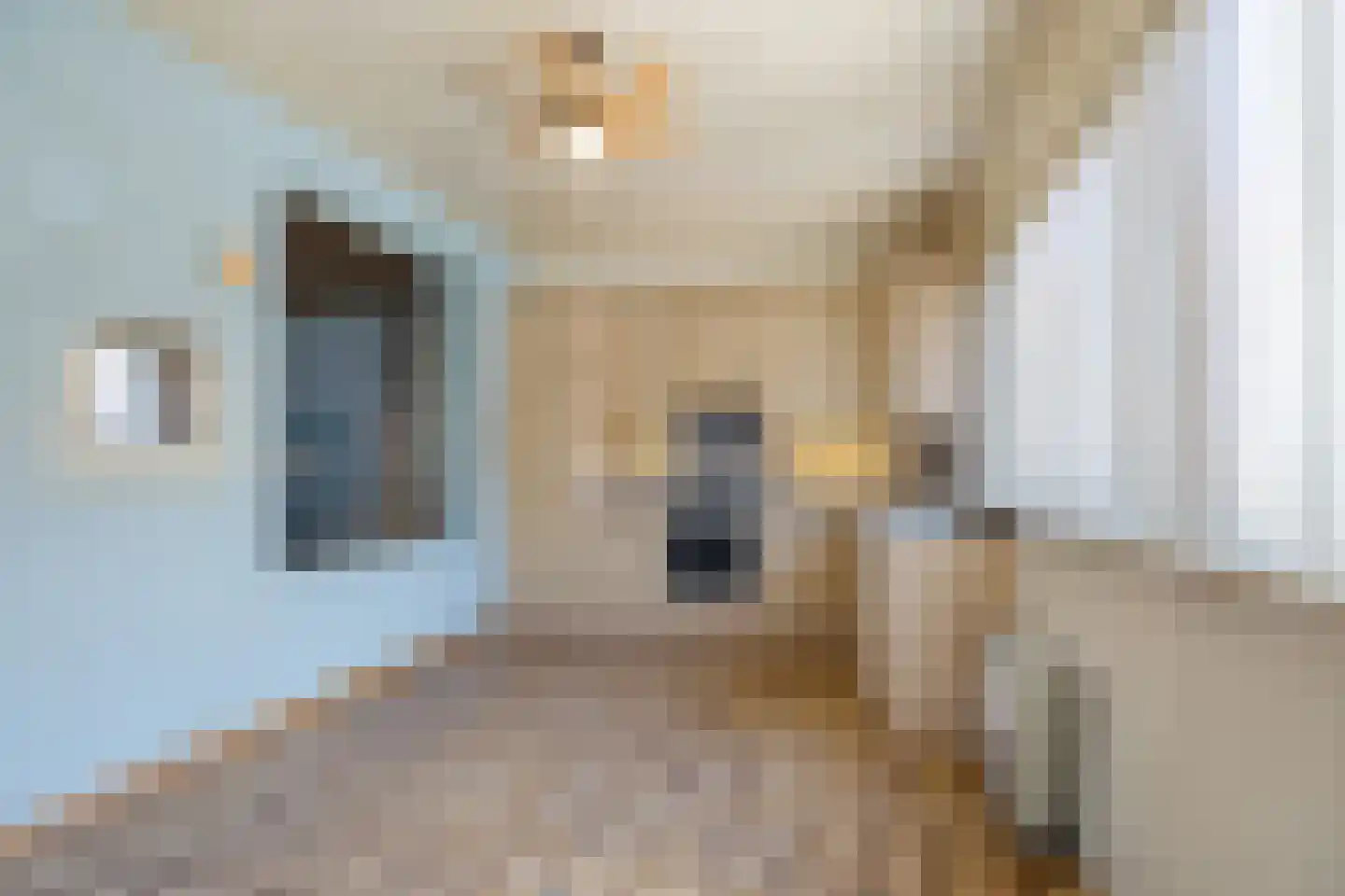 Havikstraat 23 Oss thumbnail 20