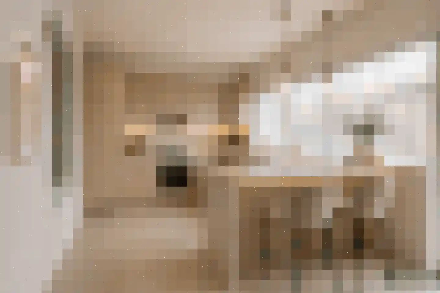 Havikstraat 23 Oss thumbnail 24