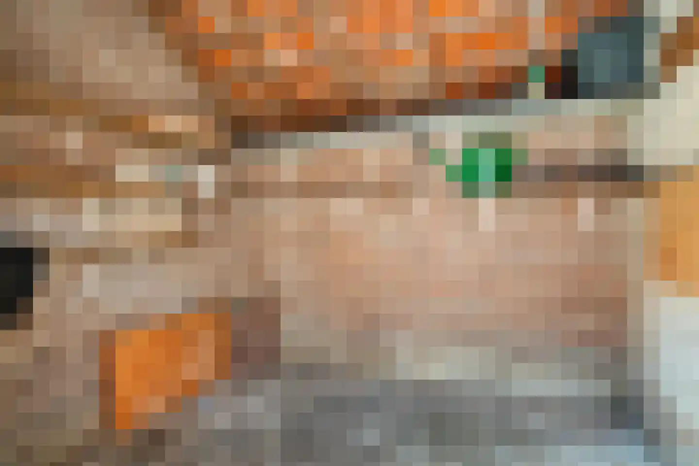 Havikstraat 23 Oss thumbnail 50