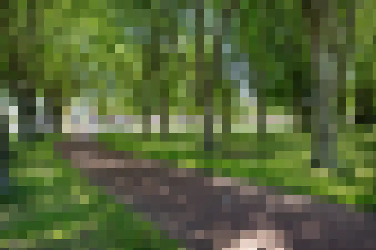 Havikstraat 23 Oss thumbnail 53
