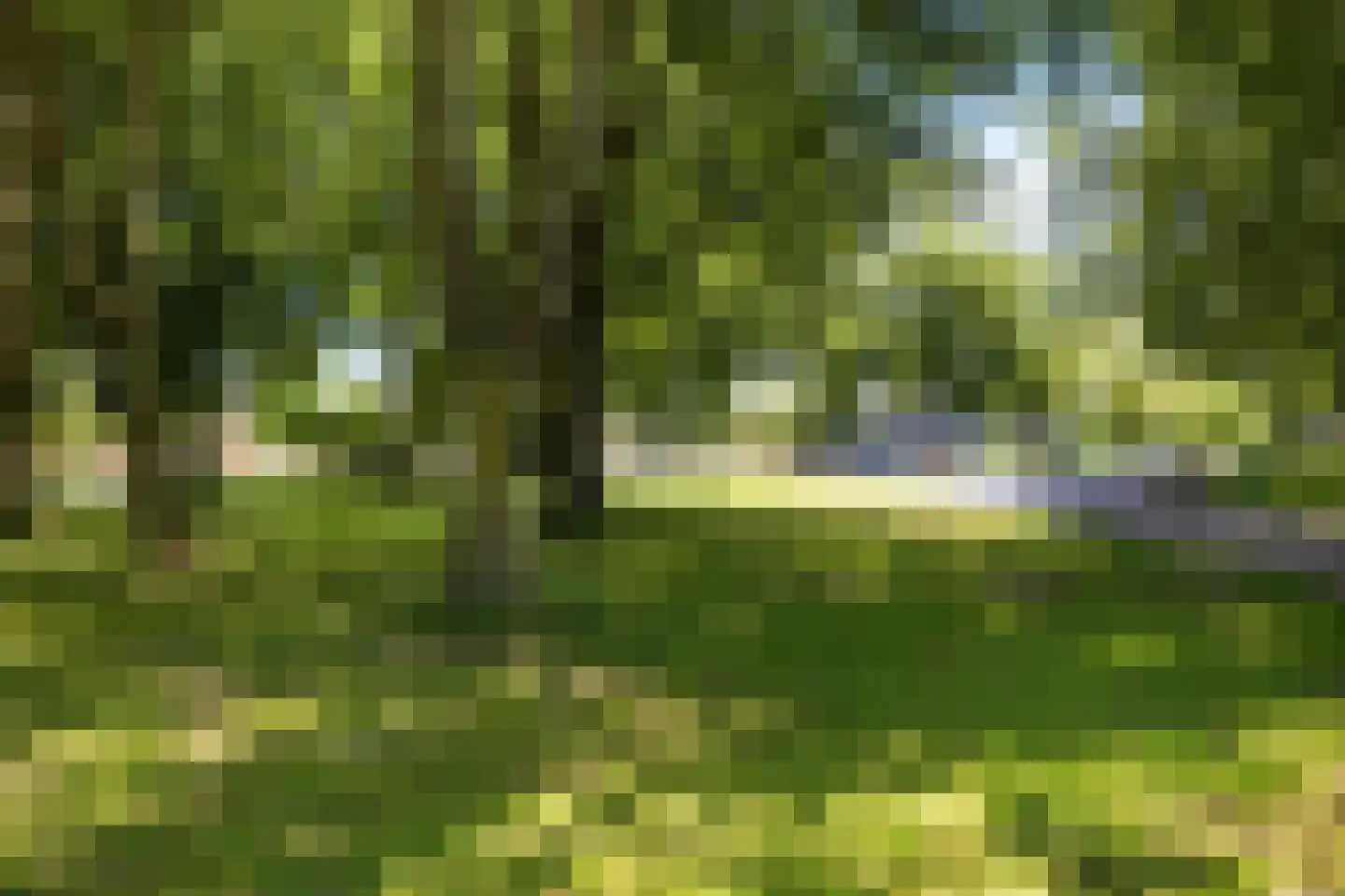 Havikstraat 23 Oss thumbnail 54
