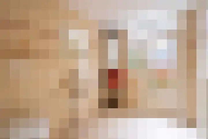 Havikstraat 23 Utrecht thumbnail 22