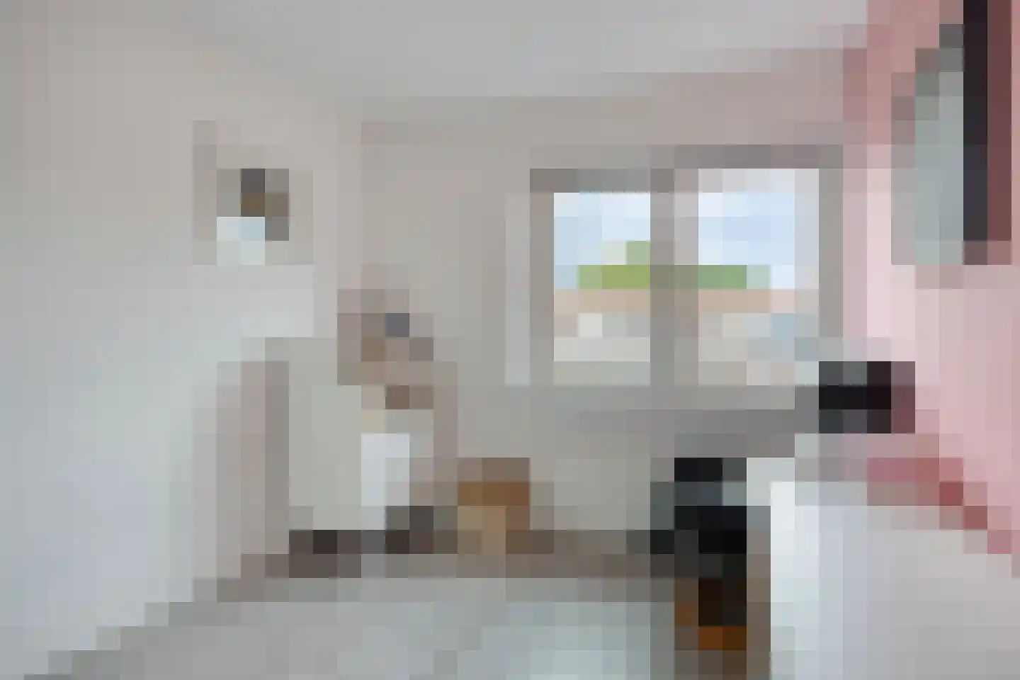 Havikstraat 26 Oss thumbnail 18