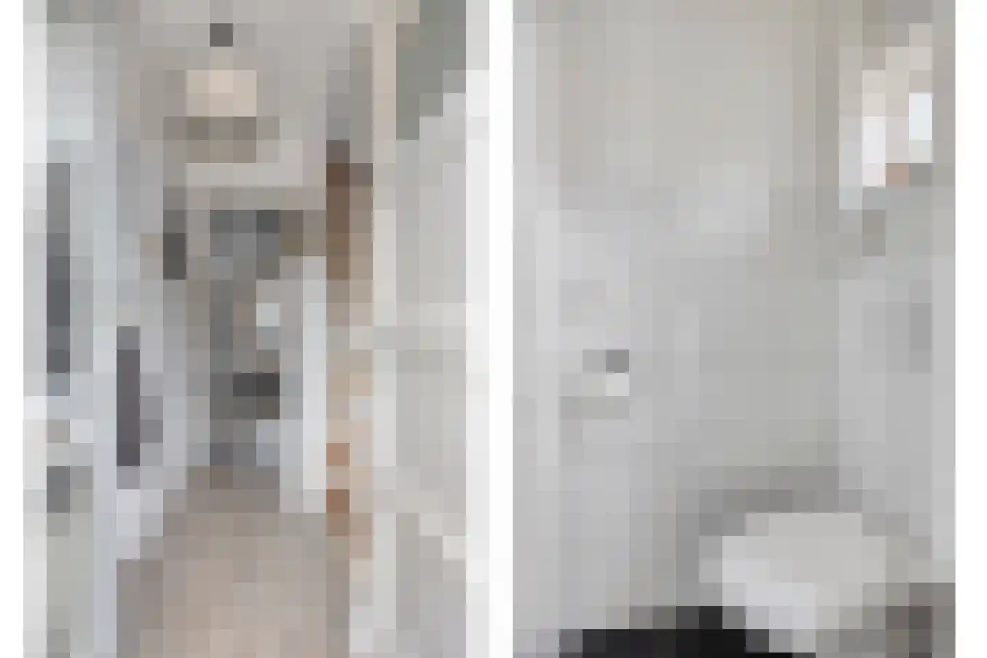 Havikstraat 26 Oss thumbnail 31