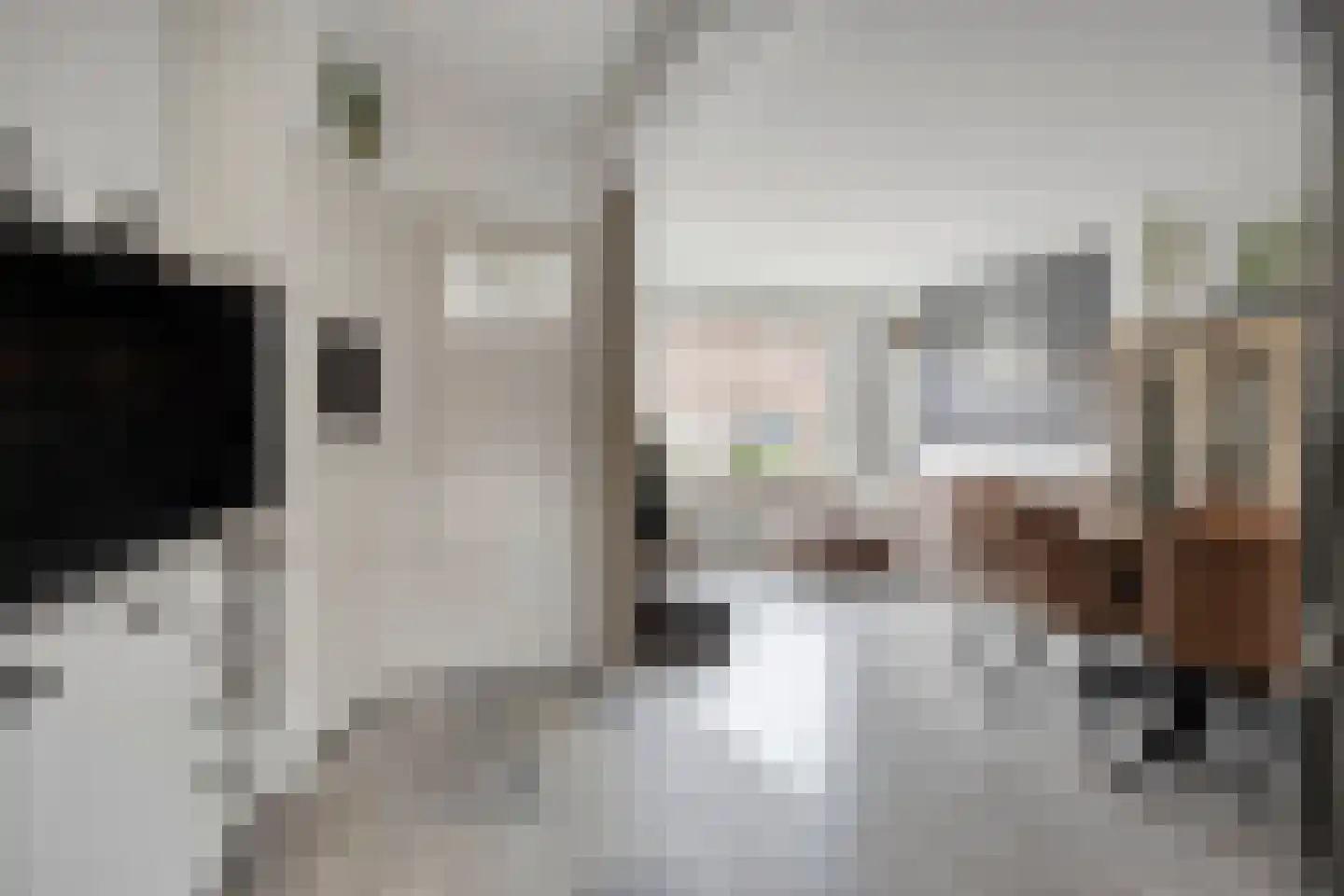 Havikstraat 26 Oss thumbnail 7