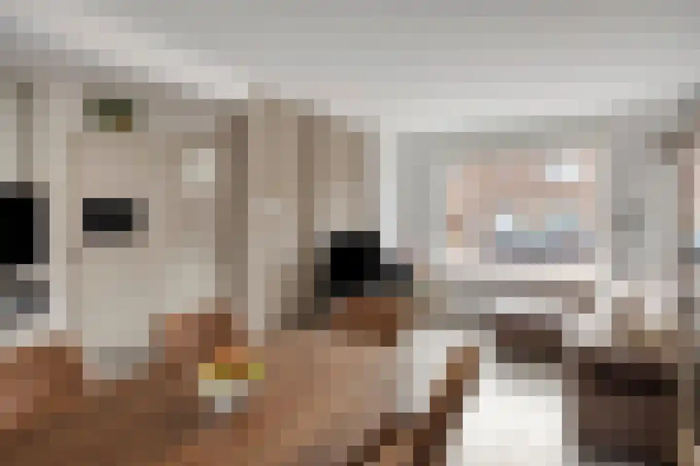 Havikstraat 26 Oss thumbnail 8