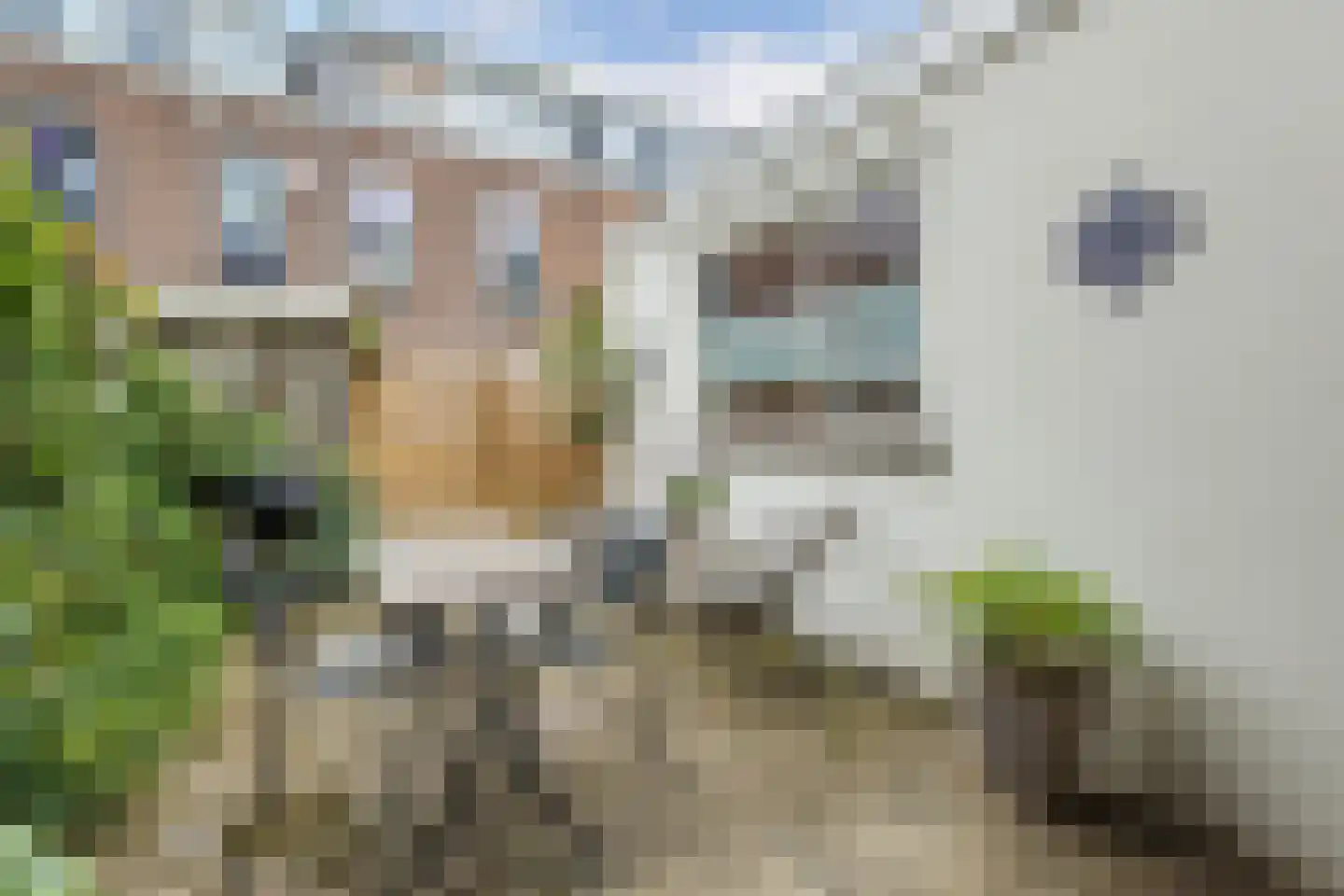Havikstraat 28 Utrecht thumbnail 8