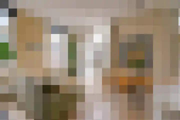 Havikstraat 29 L Utrecht thumbnail 10